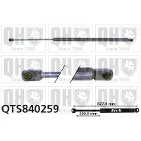 Quinton Hazell QTS840259 Gasveer achterklep