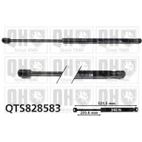 Quinton Hazell QTS828583 Gasveer motorkap