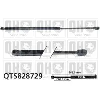 Quinton Hazell QTS828729 Gasveer achterklep