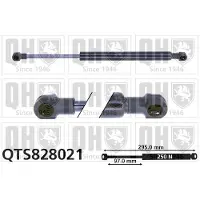 Quinton Hazell QTS828021 Gasveer achterklep