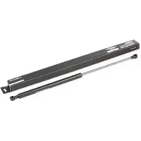 RIDEX 219G0074 Gasveer achterklep