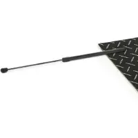 RIDEX 219G0915 Gasveer achterklep