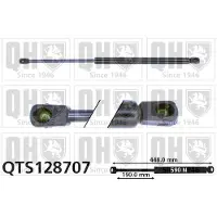 Quinton Hazell QTS128707 Gasveer achterklep