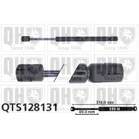 Quinton Hazell QTS128131 Gasveer achterklep