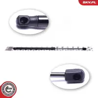 ESEN SKV 52SKV805 Gasveer achterklep