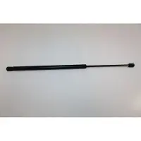 AUTOMEGA 100002910 Gasveer achterklep