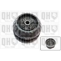 Quinton Hazell EMR6103 Veerpootlager