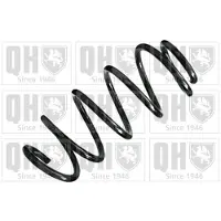 Quinton Hazell QCS6365 Chassisveer