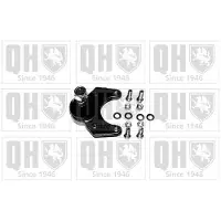 Quinton Hazell QSJ977S Fuseekogel