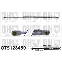 Quinton Hazell QTS128450 Gasveer achterklep