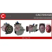 Casco CAC73151GS Aircopomp