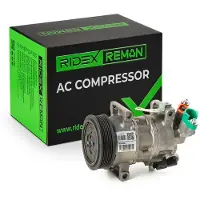 RIDEX 447K0425R Aircopomp