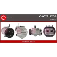 Casco CAC78117GS Aircopomp