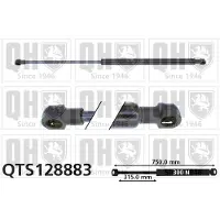 Quinton Hazell QTS128883 Gasveer motorkap