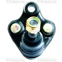 TRISCAN 8500 13538 Fuseekogel