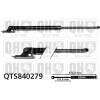 Quinton Hazell QTS840279 Gasveer achterklep