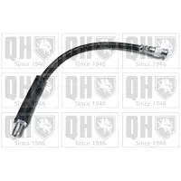 Quinton Hazell BFH4371 Remslang
