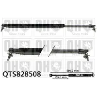 Quinton Hazell QTS828508 Gasveer achterklep