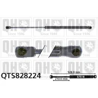 Quinton Hazell QTS828224 Gasveer achterklep