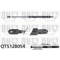 Quinton Hazell QTS128054 Gasveer achterklep