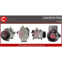 Casco CAC81017GS Aircopomp