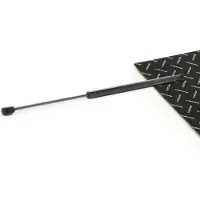 RIDEX 219G1200 Gasveer achterklep