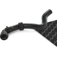 RIDEX 475R10175 Radiateurslang