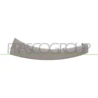 PRASCO FT9302103 Afdekking, koplamp