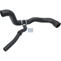DT Spare Parts 2.15130 Radiateurslang