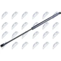 NTY AE-BM-056 Gasveer achterklep