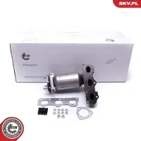 ESEN SKV Katalysator 62SKV007