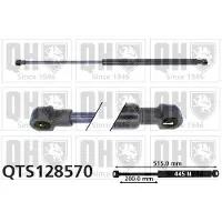 Quinton Hazell QTS128570 Gasveer achterklep