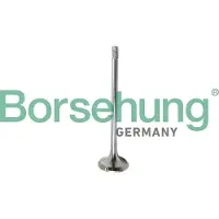 Borsehung B10321 Uitlaatklep