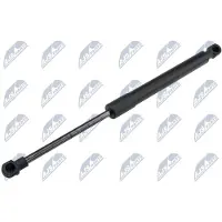 NTY AE-SA-012 Gasveer achterklep