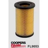 COOPERSFIAAM FILTERS FL9053 Luchtfilter