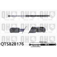 Quinton Hazell QTS828176 Gasveer achterklep