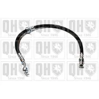 Quinton Hazell BFH5367 Remslang