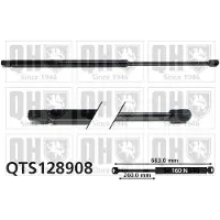 Quinton Hazell QTS128908 Gasveer achterklep