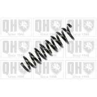 Quinton Hazell QCS7296 Chassisveer