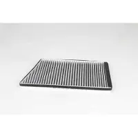 BSG 60-145-025 Interieurfilter