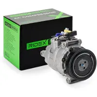 RIDEX 447K0225R Aircopomp