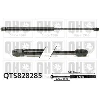 Quinton Hazell QTS828285 Gasveer achterklep