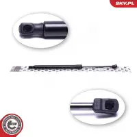 ESEN SKV 52SKV808 Gasveer achterklep