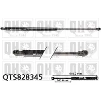 Quinton Hazell QTS828345 Gasveer achterklep
