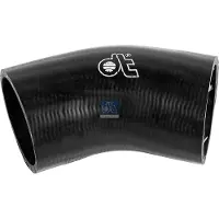DT Spare Parts 3.16470 Radiateurslang