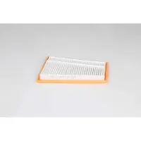 BSG 60-135-022 Luchtfilter