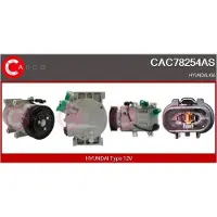 Casco CAC78254AS Aircopomp