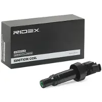 RIDEX 689C0344 Bobine