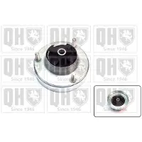 Quinton Hazell EMR6031 Veerpootlager