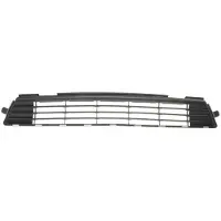 BLIC 5510-00-81169900P Ventilatiegrille, bumper